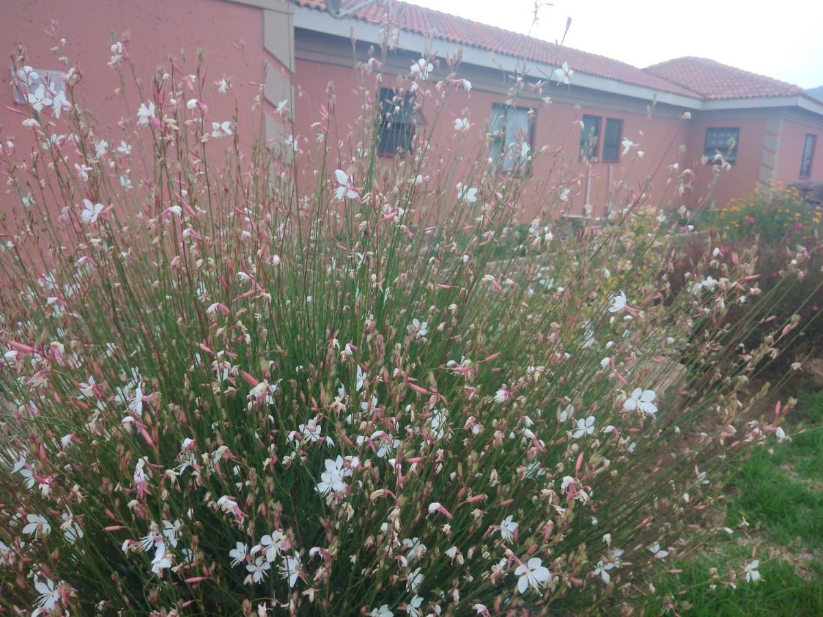 Twilight Breeze Lodge Phuthaditjhaba Exterior foto